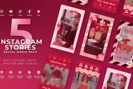 Valentine Day Instagram Vertical Reel 50007491