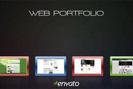 Web Portfolio 99971