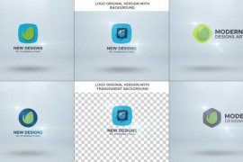 Minimal Modern Logo (Premiere Pro) 45571198
