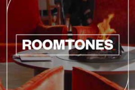 Blastwave FX Roomtones WAV