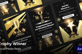 Social Media Reels - Winner Trophy After Effects Template 47146295