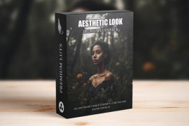 Best Film LUTs for an Aesthetic Cinematic Look 51756933
