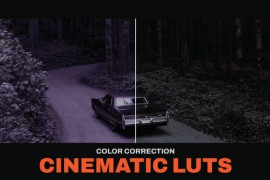LUTs Cinematic 41936493