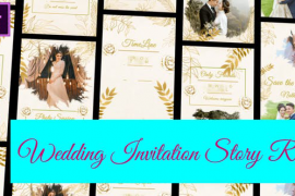 Wedding Invitation Instagram and TikTok Reel | MOGRT 47224536