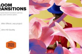 Bloom Transitions 43584465