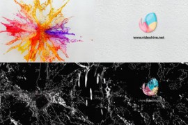 water Splash Logo Reveal 2 style 42881299