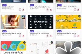 2023.8.19.8.Set.DaVinci-Resolve.Templates
