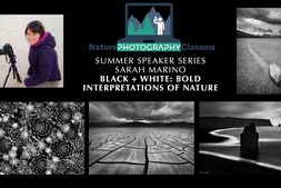 Naturephotocollective – Sarah Marino – Black + White: Bold Interpretations of Nature
