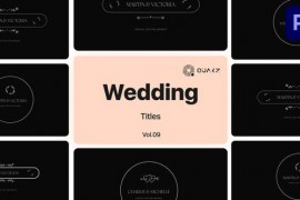 Wedding Titles for Premiere Pro Vol. 09 49000035