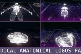 Medical Anatomical Logos Pack 45237295