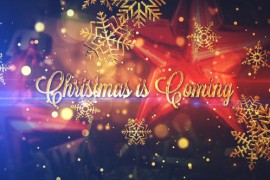 New Year Celebration Trailer 19214103
