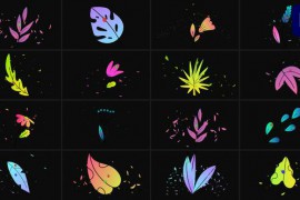 Flowers Pack for Premiere Pro 48823341