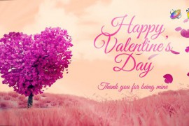 Valentine's Tree Wishes Reveal 50621344
