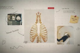 Science Project Presentation 51341131