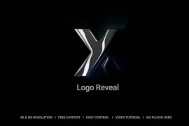 Logo Reveal 48116998
