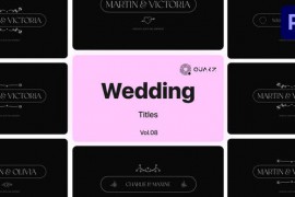Wedding Titles for Premiere Pro Vol. 08 49000032