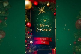 Unique 3D Christmas Greetings Instagram Story 49852083