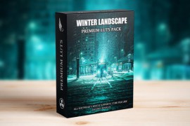 Winter Landscape Snow Travel Cinematic LUTs 48378019