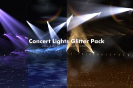 Concert Lights Glitter Pack 13754701
