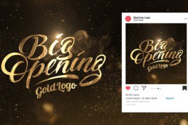 Gold Logo Opener 39997511