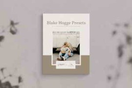 G-Presets – Blake Hogge Presets