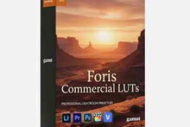 Gamut – Foris Commercial LUTs