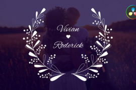 Wedding Titles / Dr 50332657
