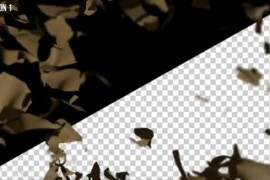 Ripping Transitions 24646210