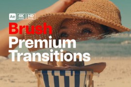 Premium Transitions Brush 49870461