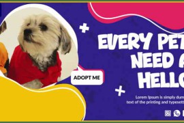 Pets Slideshow 56327392