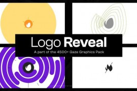 10 Logo Reveal 48321802