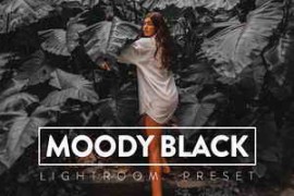 Free Download:FilterGrade – 10 Moody Black Lightroom Preset