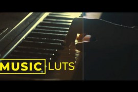 LUTs Music 42318843