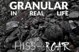 HISS and a ROAR Granular IRL WAV