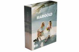 Archipelago – Marigold