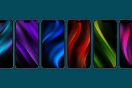 Vertical Gradient Pack 50387152