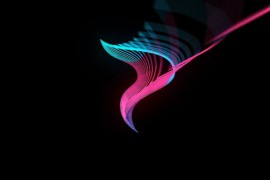 Elegant Logo Reveal 52635920