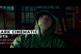 Dark Cinematic LUTs 44015774