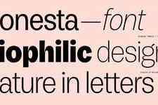Honesta Font Family 12xOTF