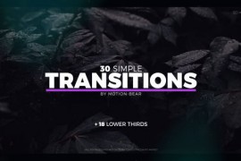 The Transitions 20905573