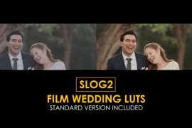 Slog2 Film Wedding and Standard Color Luts 50930746