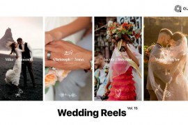 Wedding Reels Vol. 15 49308064
