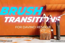 Brush Transitions 46109155