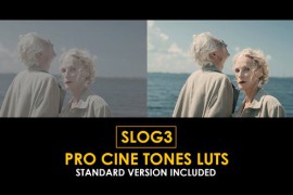 Slog3 Pro Cine Tones and Standard Color LUTs 51062007