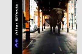 LinkedIn – After Effects: Working with 3D Models