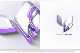 Clean Fast Logo Reveal 51551489