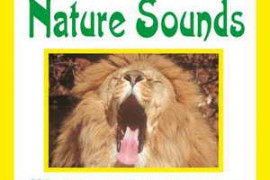 SR Fields More Sounds of Easy Listening FLAC