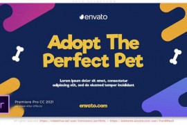 Pets Slideshow 43969718