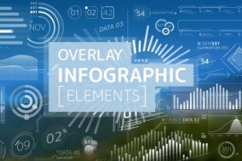 Overlay Infographic Elements Pack 24589984