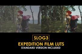 Slog3 Expedition FIlm and Standard Color LUTs 51061386
